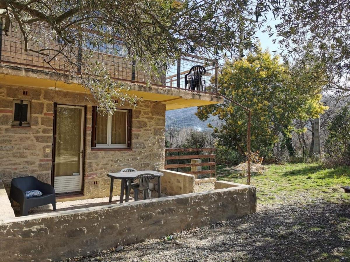 Ferienwohnung Les Pierres De La Massane - Vue Sur Les Alberes Argelès-sur-Mer Exterior foto