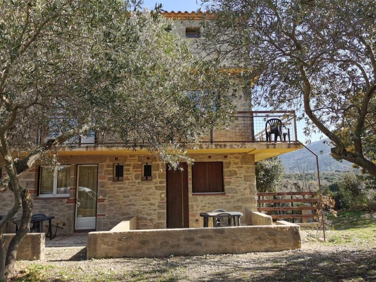 Ferienwohnung Les Pierres De La Massane - Vue Sur Les Alberes Argelès-sur-Mer Exterior foto