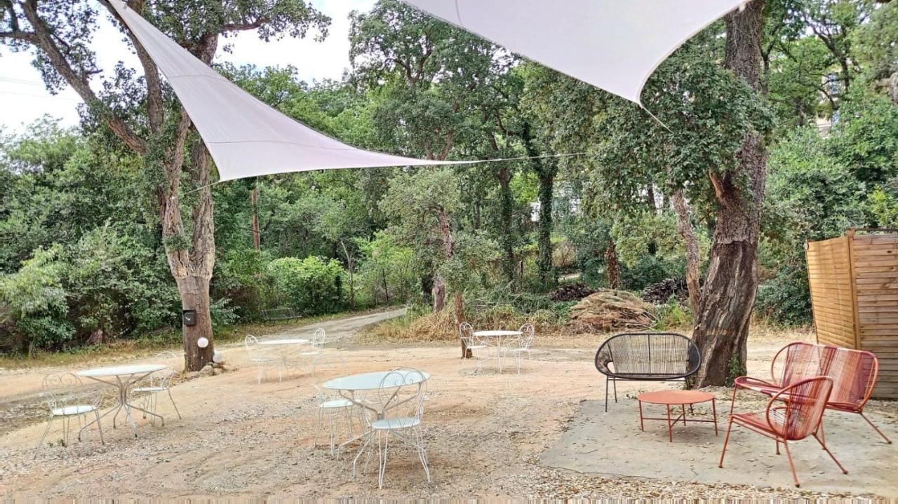 Ferienwohnung Les Pierres De La Massane - Vue Sur Les Alberes Argelès-sur-Mer Exterior foto